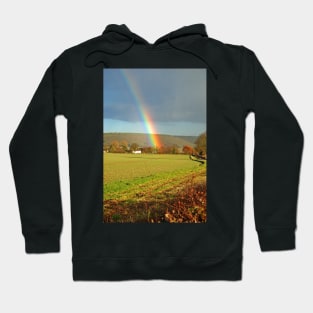 Rainbow tree Hoodie